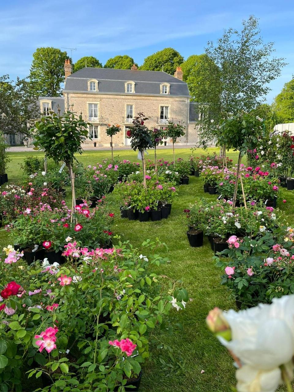 Le Manoir Du Ribardon Bed & Breakfast Neuvy-au-Houlme Exterior foto